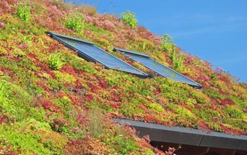 Staughton Moor living roof systems